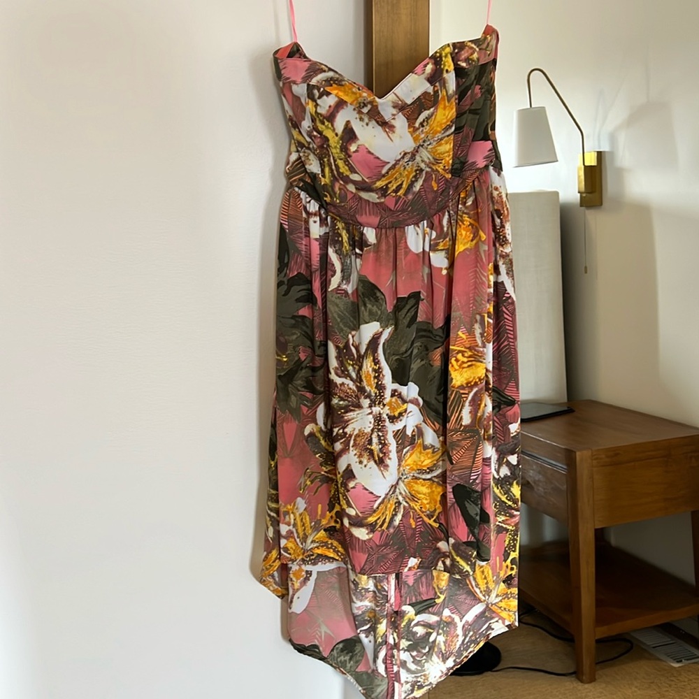BB Dakota size 4 dress. Tropical print.
